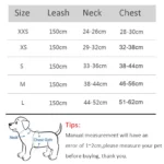 Puppy Cat Vest Harness With Leash Breathable Mesh Pet Chest Straps For Chihuahua York Harnesses Reflective Bulldog Walking Leash - Image 2