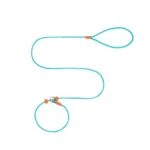 Pet Dog Training Round Rope 150cm Light Weight Nylon P Chain Collar Adjustable for Small Medium Dogs Walking Leash Pet Supplies - Image 6