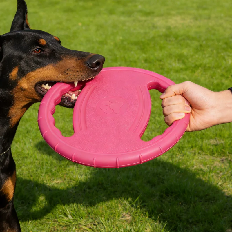kf-S351a4d878f9d4c31aa36d28911078809u Dogs EVA Flying Disc Tooth Chew Play Train Toy Indestructible Pet Supplies Toys Large Safe Small Dog Joint Tough Toys Resistant - Image 1