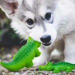 Durable Latex Chew Toy for Aggressive Bite Shark Dog Squeaky Ball Loud Crunching Noise Teeth Cleaner Molar Toys Puppy Weaning - Image 6