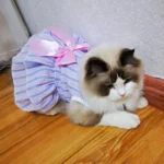 Summer Pet Cat Puppy Princess Dress Pet Clothes Striped Plaid Dresses with Bow Cats Kitten Rabbit Sphynx Clothing Pet Supplies - Image 4
