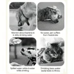 Dog Cat Drinking Bowl Outdoor Feeding Water Portable Drinking Cup for Pets Foldable Water Dispenser Interchangeable Bottle - Image 4
