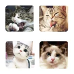 Catnip Powder Dried Herb Calming Kitten Treats Cat Supplies Toys for Pet Training and Relaxing