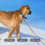 1.8M 3M 5M 10M PVC Heavy Duty Long Dog Leash for Large Medium Dogs Waterproof Easy Clean Strong Durable Running Training Leash - Image 6