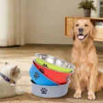 Pet Bowl Stainless Steel Dog Water Bowl with Non-Slip Rubber Base And Small Cats And Dogs Drinking Water Feeding Pet Food Bowl - Image 9