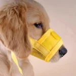 Anti Barking Dog Muzzle for Dogs Adjustable Mesh Breathable Pet Mouth Cover Muzzle for Small Medium Dog Anti-biting Pet Supplies - Image 2