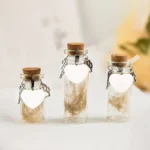 Pet Memorial Bottle For Pet Hair Dogs Cats Fur Keepsake Bottle Storage With 3 Silver Accessories Pet Memorial Urn Container - Image 3