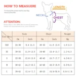 Outdoor Walking Harness and Leash Set for Small to Medium-Sized Dogs, Chihuahua, Mascotas, Harness Vest, Pomeranian Accessories - Image 2
