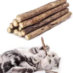 Catnip Silvervine Chew Sticks for Cats Natural Teeth Molar Toys, Anxiety Relief Dental Care Chewing Gifts Cat Toys
