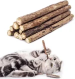 Catnip Silvervine Chew Sticks for Cats Natural Teeth Molar Toys, Anxiety Relief Dental Care Chewing Gifts Cat Toys