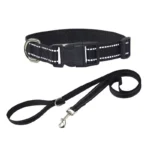 Reflective Dog Pet Towing Rope Guard Rope Collar set Pet Walking Training Leash Small And Medium Cats Dogs Harness Collar Strap
