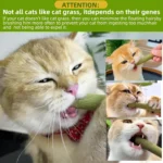 6/60Pack Cat Natural Grass Treat Sticks for Hairball Removal Chicken Catnip Teething Chew Toys for Teeth Cleaning Kitten Snack - Image 6