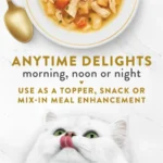 Purina Broths, Wet Cat Food, Chicken and Veggies, 1.4 oz Pouch, 16 Pack - Image 5
