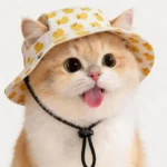 Cute Print Cat Hat for Small Medium Cats Adjustable Pet Cap Breathable Comfortable Sunscreen Hat Beach Activities