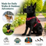 Nylon Adjustable Dog Harness Personalized Dog Harness Vest Reflective Breathable Pet Harness Leash For Small Medium Large Dogs - Image 2