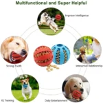 Pet Dog Toy Self-Entertainment Boredom Relief Molar Teeth Leak Food Ball Bite-Resistant Puppy Hide Watermelon Outdoor Dogs Fun - Image 5
