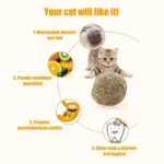 1~5PCS Natural Catnip Cat Wall Stick-on Ball Toys Treats Healthy Natural Removes Hair Balls To Promote Digestion Cat Grass Snack - Image 5