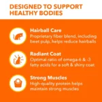 Proactive Health Chicken And Salmon Dry Cat Food, 7 Lb Bag - Image 6