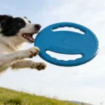 Dogs EVA Flying Disc Tooth Chew Play Train Toy Indestructible Pet Supplies Toys Large Safe Small Dog Joint Tough Toys Resistant - Image 3