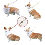 Heavy Duty Dog Leash Slip Rope Lead Adjustable Braided Loop Collar Training Leash for Medium to Large Dogs - Image 6