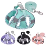 Outdoor Walking Harness and Leash Set for Small to Medium-Sized Dogs, Chihuahua, Mascotas, Harness Vest, Pomeranian Accessories