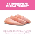 Proactive Health Sensitive Digestion and Skin Dry Cat Food, Adult Cat Food Dry Recipe with Real Turkey, 13 lb. Bag - Image 4