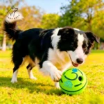 Pet Toy Indestructible Chew Toy Ball, Durable Dog Toy, Self-Entertaining Sound Ball, Puppy Cross-Border Dog Toy - Image 5