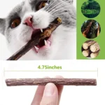 Teeth Molar Silvervine Sticks for Cats Natural Catnip Chew Toys, Safe Non Toxic Dental Cleaning Chewing Gifts for Kitten Lovers - Image 6
