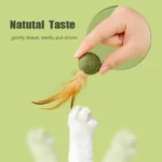 Pet Catnip Toys Cat Mint Ball Edible Catnip Ball Mouse Safety Healthy Cat Mint Cats Home Chasing Game Toy Product Clean Teeth - Image 3