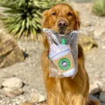 Chewing and Squeaking Dog Toys Pet Dogs and Cats Plush Coffee Cups Durable Interactive Pet Teeth Grinding Toys Dog Accessories - Image 3