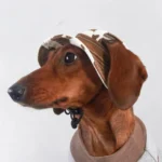 Wiener Dogs Sunscreen Hat Outdoor Hat Ear Holes Adjustable Cap for Badger Dogs Breathable Cool Hat for Small Media Dogs - Image 2