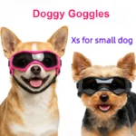 UV Protective Puppy Goggles Cool Protection Eyewear Dog Cat Sunglass for Small Dog Outdoor Riding Pets Decoration Accessory