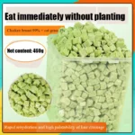 Cat grass freeze-dried meat square particles cat snacks ready-to-eat hair removal hair ball tablets into kitten food