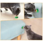5/10Pcs Catnip Wall Ball Healthy Nutrition Cat Nip Treats Cat Sugar Ball Cat Snacks Candy Ball Pet Supplies - Image 5