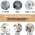 15pcs Natural Matatabi Cat Catnip Toy Kitten Molar Chew Stick Pet Cleaning Teeth Cat Treat Toy Actinidia Silvervine Pet Products - Image 5