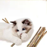 Teeth Molar Silvervine Sticks for Cats Natural Catnip Chew Toys, Safe Non Toxic Dental Cleaning Chewing Gifts for Kitten Lovers