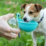Outdoor Travel Pet Water Dispenser Cup, Leash Hook Design Leak Resistant Dog Drinking Bottle for Daily Walking & Camping - Image 3