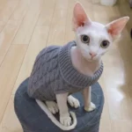 Warm Knitted Sphynx Cat Sweater Winter Pet Clothes for Cats mascotas Clothing Katten Kedi Kitten Puppy Pullovers ropa para gatos - Image 5