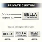 Personalized Customizable Star & Moon Quick Release Kitten Cat ID Collar Puppy Dog Engraved Tag For Small Dogs Cats - Image 5