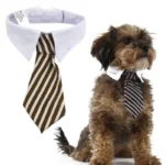 2023 Dog Cat Grooming Cat Striped Bow Tie Animal Striped Bow Tie Collar Pet Adjustable Christmas Cat Collar Pet Collar - Image 2