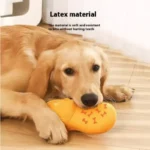 Indoor/Outdoor Dog Chew Toy Sound Latex Slippers Shape Teeth Cleaning Training Play for Small Medium Large Dogs & Puppies - Image 3