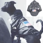 Pet Dog Waterproof Coat Dog Raincoat Reflective Dog Outdoor Clothes Hooded Jacket for Small Medium Large Dog Pet Supplies - Image 4