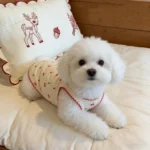 1pc Cute cherry print pet tank top, soft and skin friendly pet clothing - Image 2