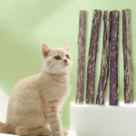 10Pcs/15Pcs/20Pcs Cat-Snack Polygonum Natural Polygonum Stick Molar Stick Thin Rod Polygonum Pet Supple - Image 6