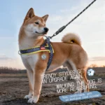 Small Medium Dog Harness Saddle Style Geometric Printed Outdoor Fashion Walking No Pull Training Puppy Pet Vest Harness Quick On - Image 2