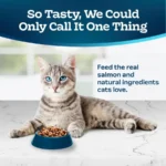 Tastefuls Dry Food, Adult Indoor Cat, Salmon and Brown Rice, 5-lb. Bag - Image 3