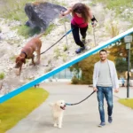 Pet Retractable Belt Leash For Running Reflective Retractable Hand Free Dog Leash with Adjustable Waist Rope For Outdoor Running - Image 2
