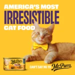 Grilled poultry and beef in gravy wet cat food variety pack 3 oz cans 30 count - Image 4