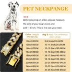 Dog Chain Collar Luxury Gold Pet Metal Chain Collar For Small Medium Large Dogs Cats Pet Jewelry Necklace Accessorie - Image 3