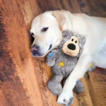 KONG - Wild Knots Bear - Internal Knotted Ropes and Minimal Stuffing for Less Mess (Assorted Colors) - Image 2